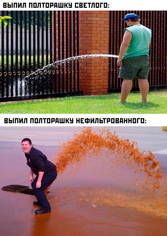 Весёлый полтишок 25.01.23
