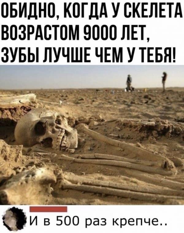 Весёлый полтишок 08.05.23