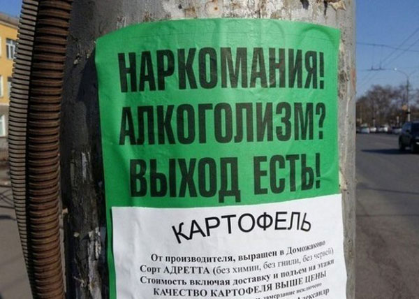 Доставка баянов