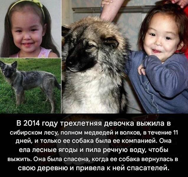 Белый слон и другие картинки