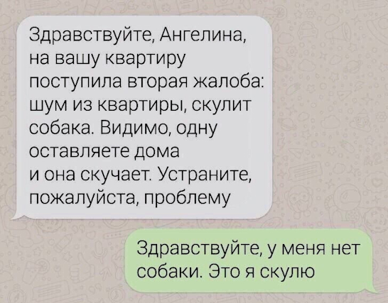 Картинки для деградации 164 (разной степени свежести)