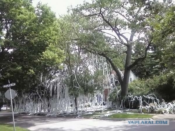 "Туалетная" шутка по-американски