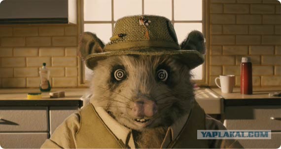 Опоссум попал в западню