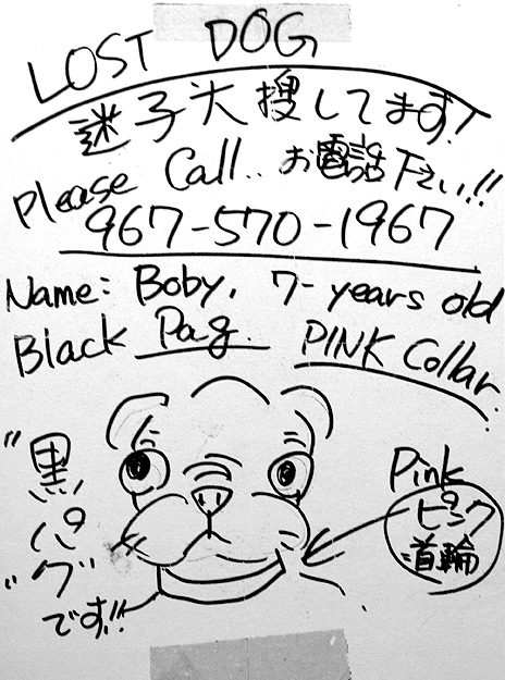 О пропавших животных