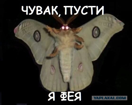 Смешные картинки и комментарии