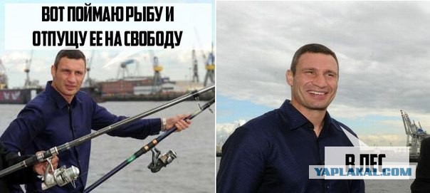 Подборка весёлых картинок