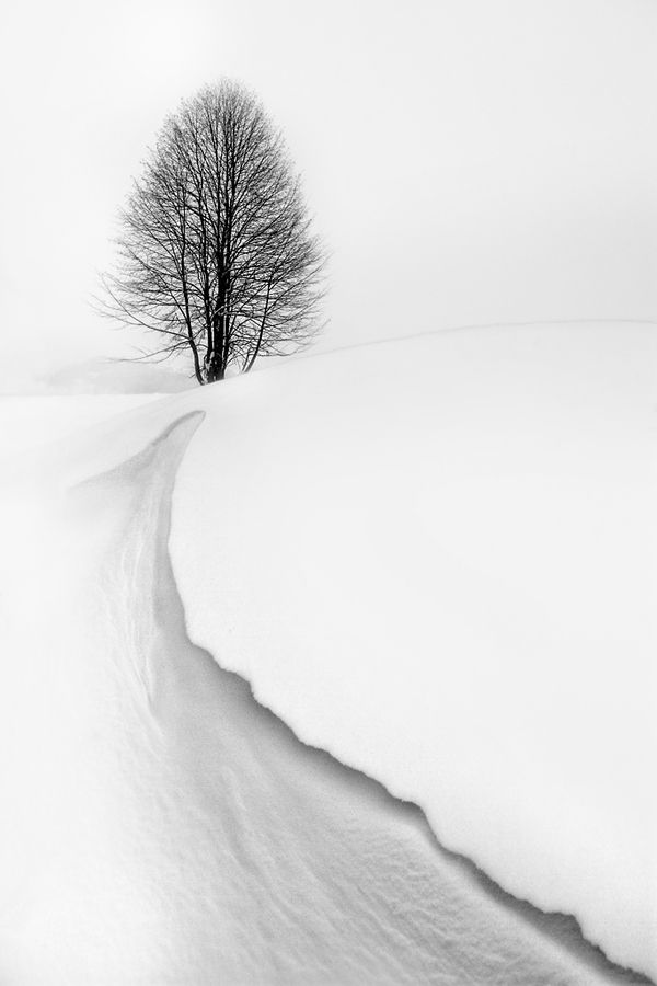 21 фотография для тех, кто понимает минимализм
