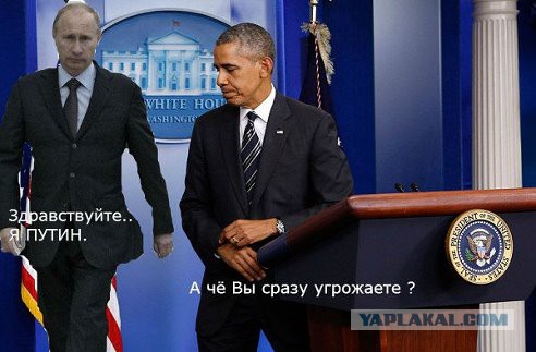 Одна жаба