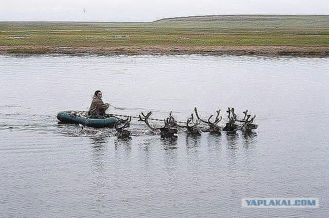 Смешные картинки