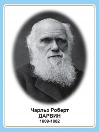 Сальто на крыше в Дубаи., без страховки.