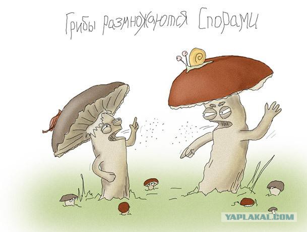 Космонавт Ахмед