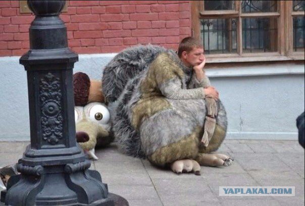 Вестник социальных сетей