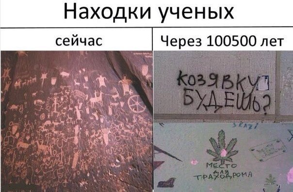 Ужасы и приколы из соцсетей 18+