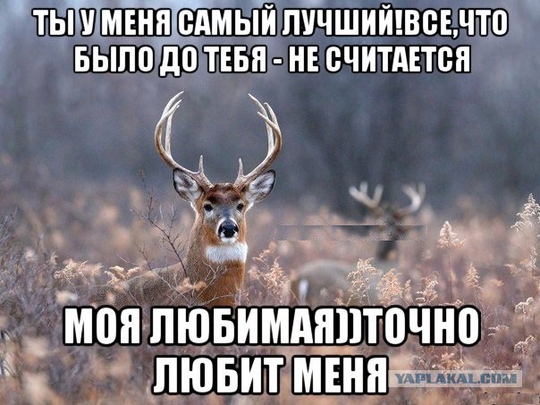 Это все было до тебя