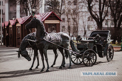 Сядь со мною рядом!