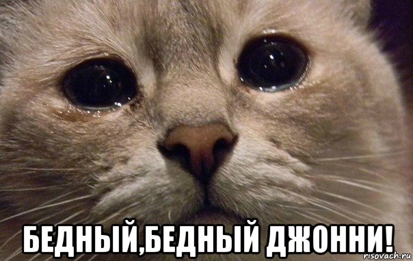 Избитые английские болельщики рассказали о нападениях «хорошо организованных русских»