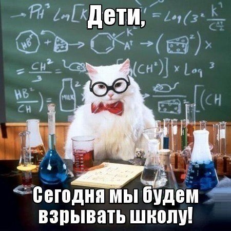 Немного картинок и гифок.