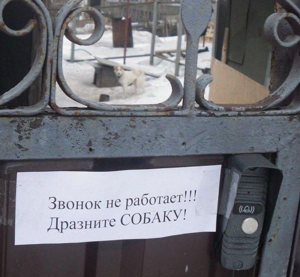 Подборка безудержного веселья