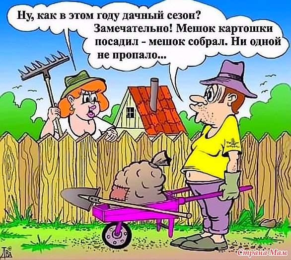 Охранник дачи. История из жизни
