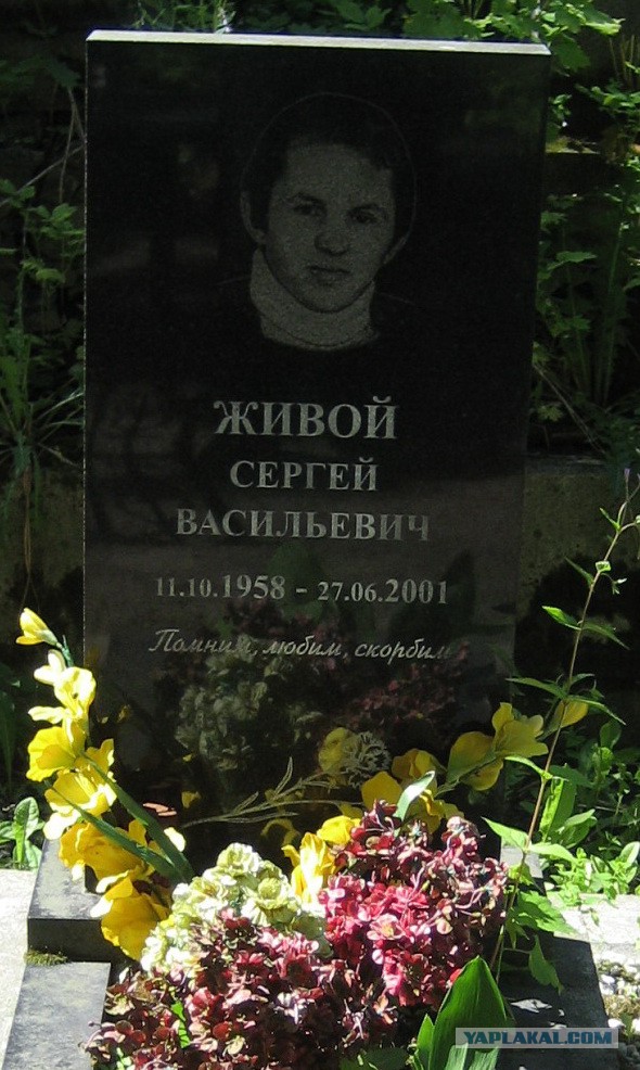 10 Человек, которым идеально подходят их фамилии