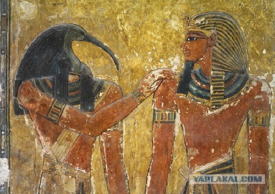 Задай свой каверзный вопрос египтологу