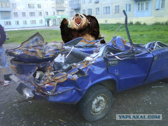 Про "подснежник"