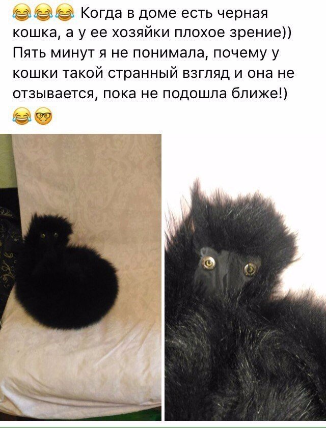 Подборка интересных и веселых картинок