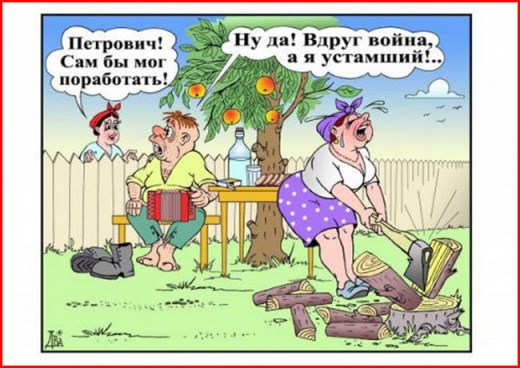 Типы дачников
