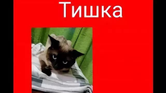 Секундная разборка...