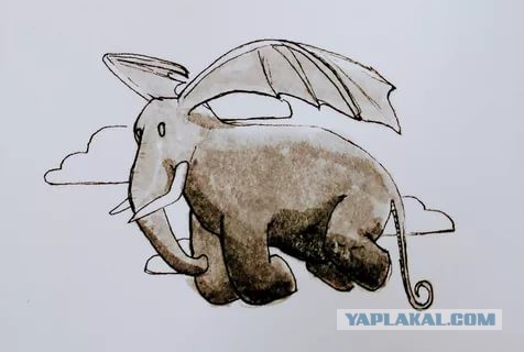 Как завести дракона