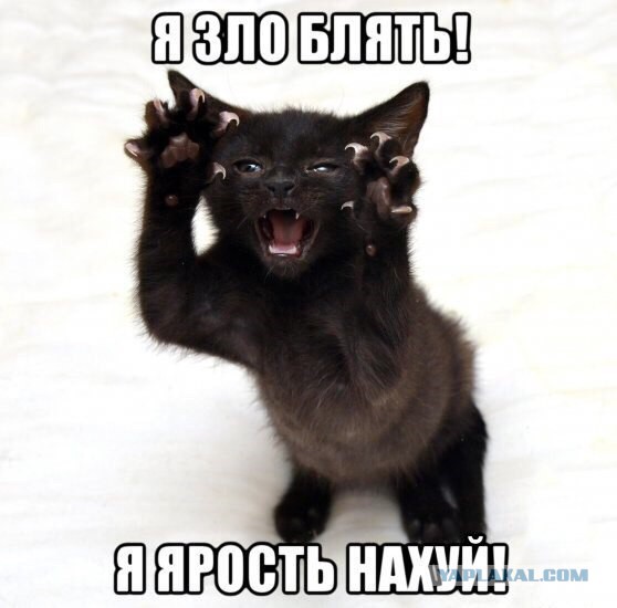 Зовите экзорциста!