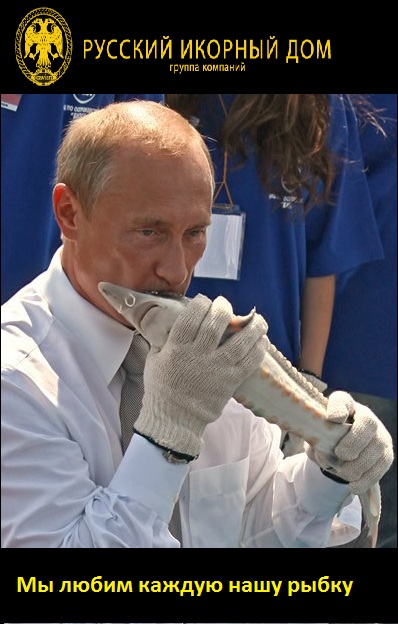 Конкурс на лучшую фотожабу против браконьеров.