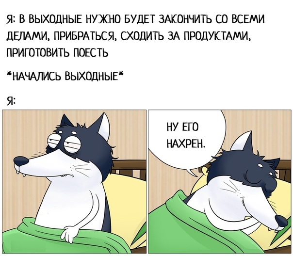 Чуток картинок. 08.10.19