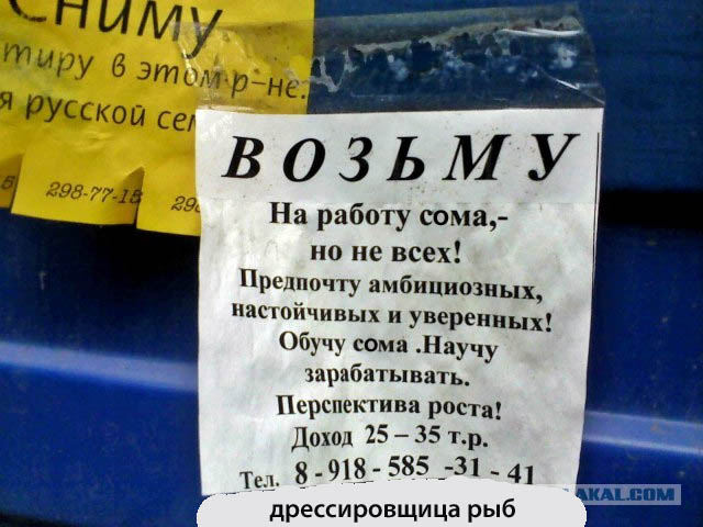 Возьму на работу сама