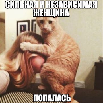 Пойду к феминистке на роль кота.