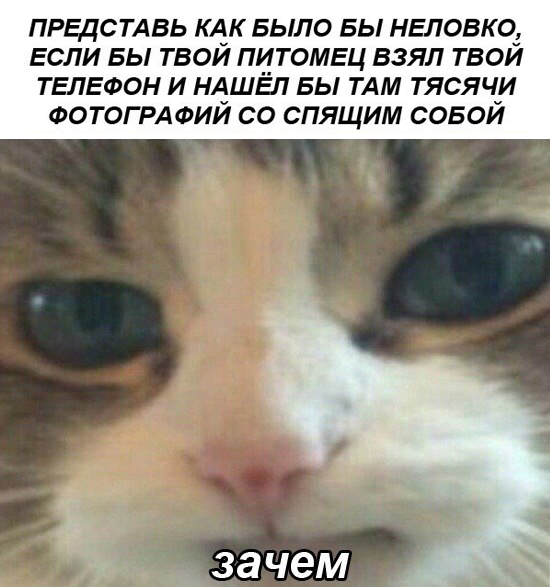 Зачем тратить деньги на цирк?