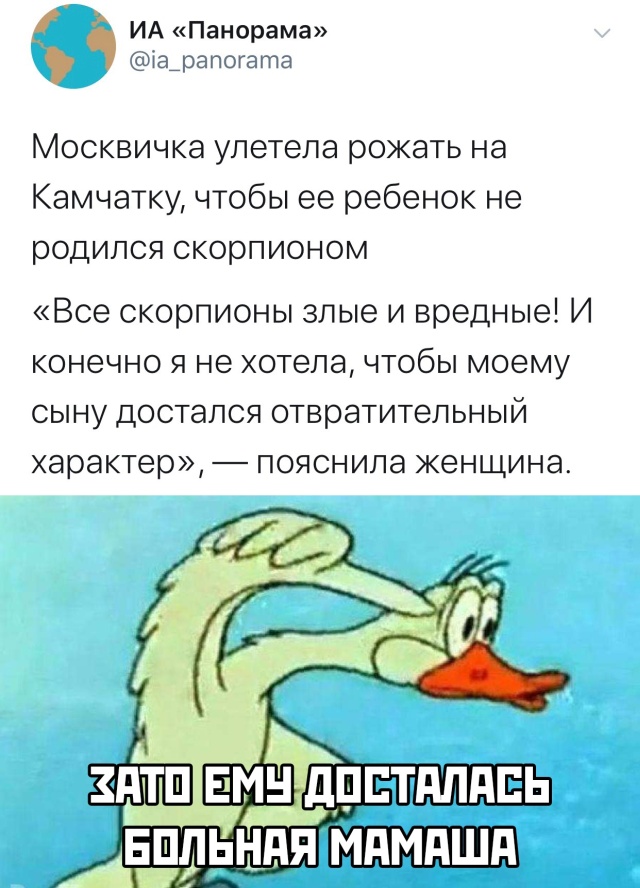 Чуток картинок 21.02.20