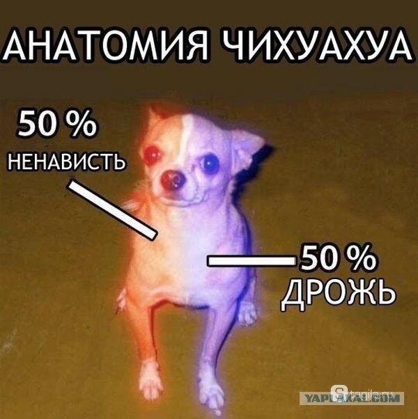 Нарвался на карликов
