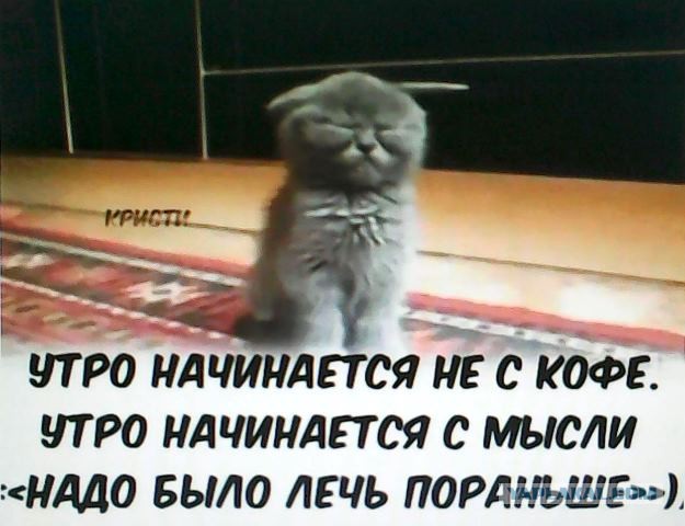 Не очень адекватный юмор