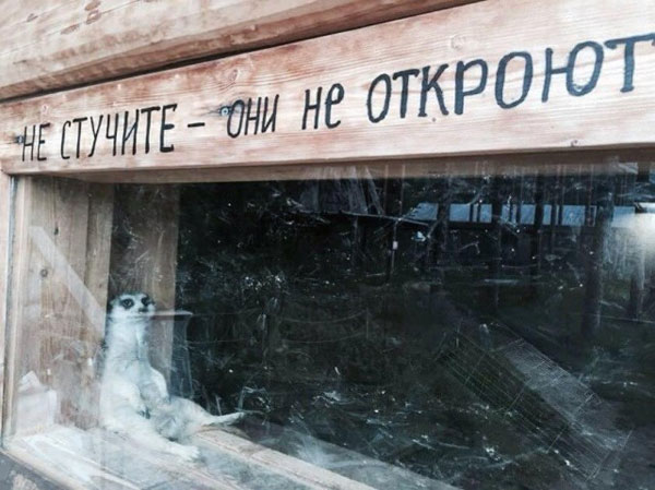 Фотки и картинки: юморные и красивые, забавные и милые 09.11.20
