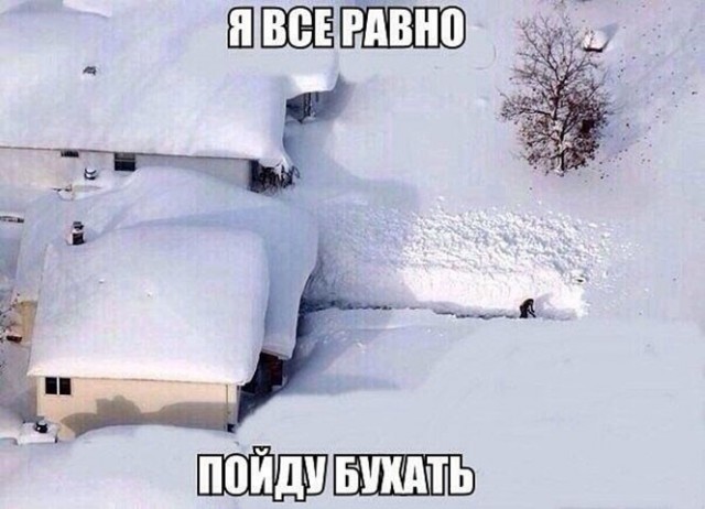 Картинки и мемы для настроения 018