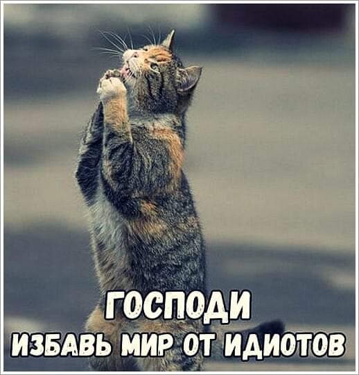 Дед забыл принять таблетки и разбушевался. Байден заявил, что США заставят заплатить Россию за ее действия
