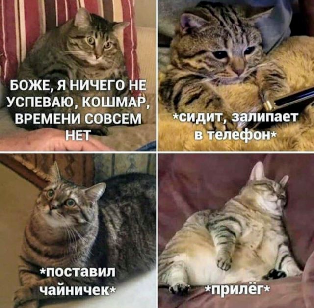 Картинки и мемы для настроения 002