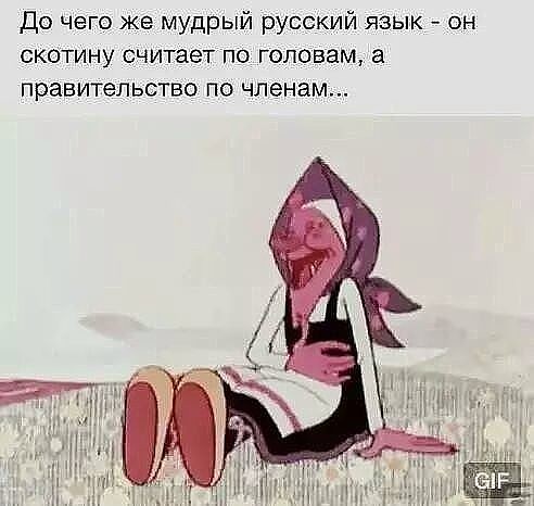 Так себе картинки 14.08.21