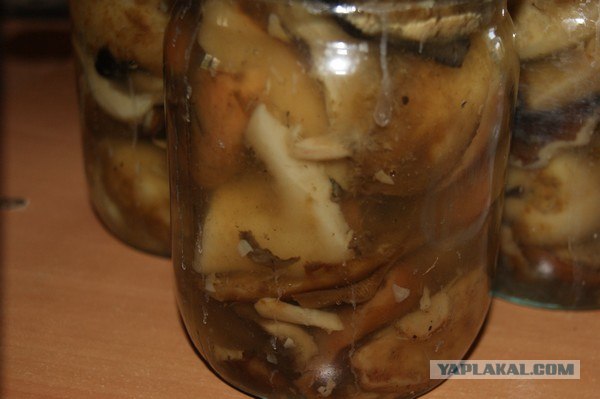 Осень в банках