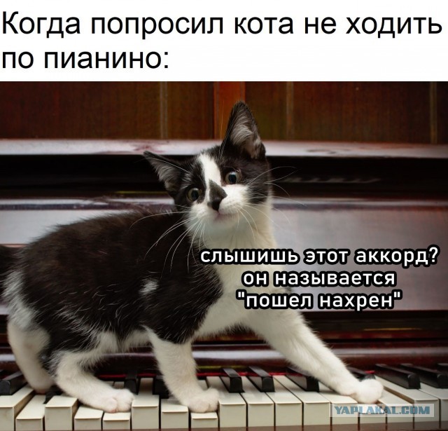 Что важнее Победа в Войне или Революции?
