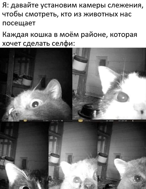 Картинки и мемы для настроения