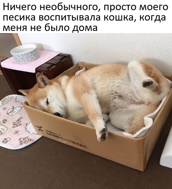 Один шаг и она начнется