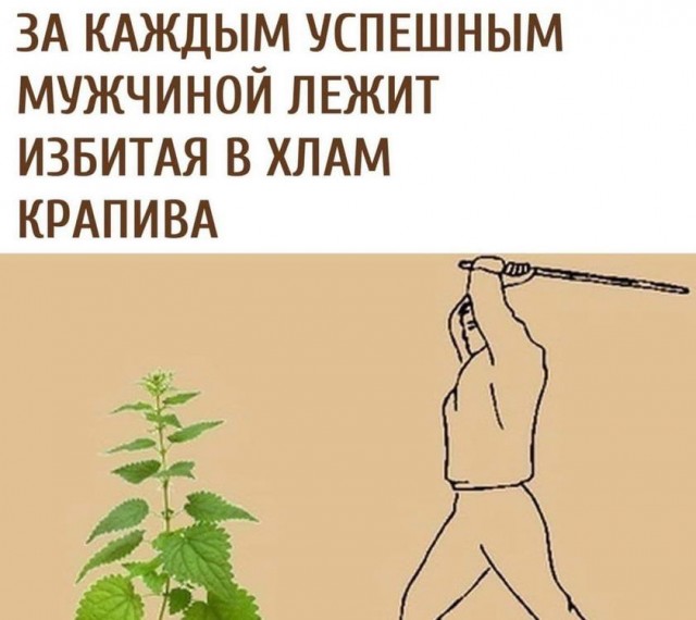 Картинки и мемы, всем прекрасных выходных