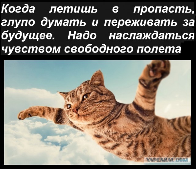 Картинки с надписями и всякие жизненные фразы